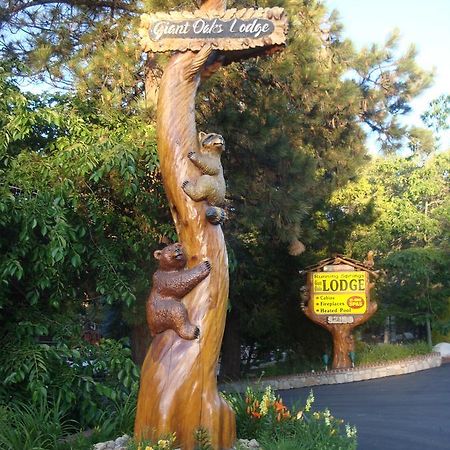 Giant Oaks Lodge Running Springs المظهر الخارجي الصورة